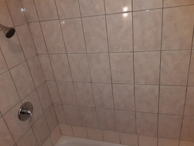 Shower - 8128 S Marshfield Ave