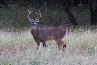 Building Photo - 2055 Island View