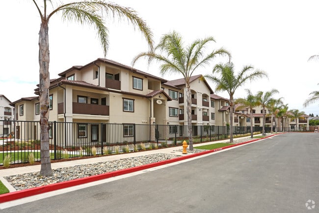 Building Photo - Palms at Morada