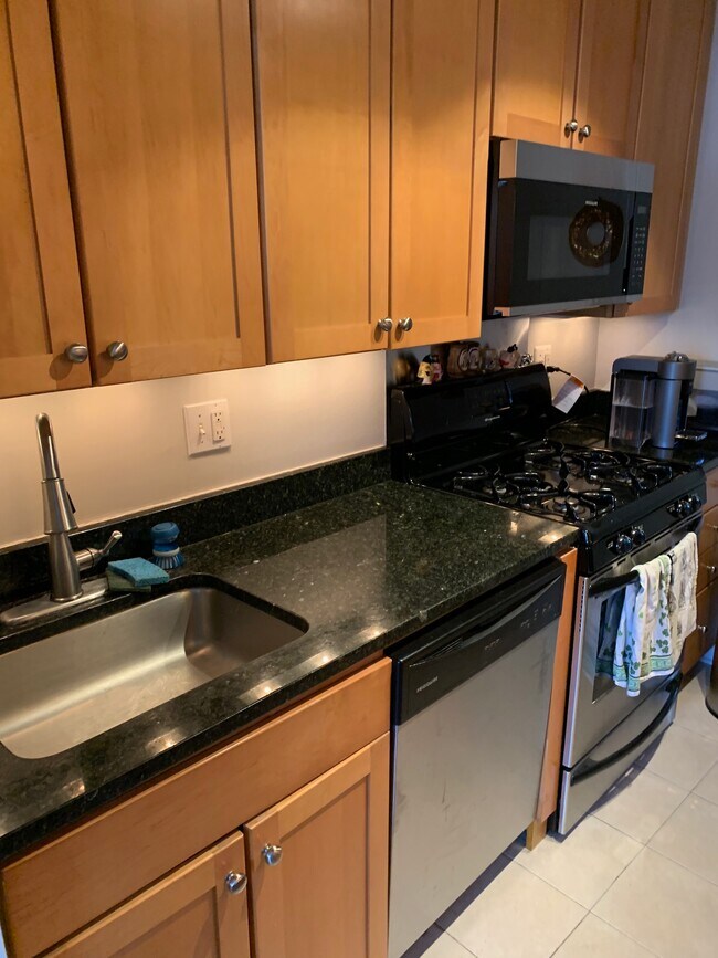 kitchen - 1730 Arlington Blvd