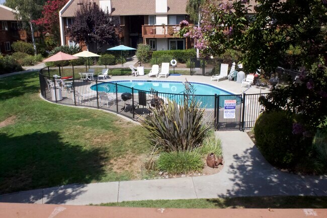 Pool View from Patio - 3415 Pennsylvania Cmn