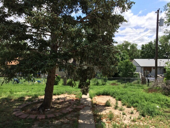 Photo - 817 Sequoia Dr House