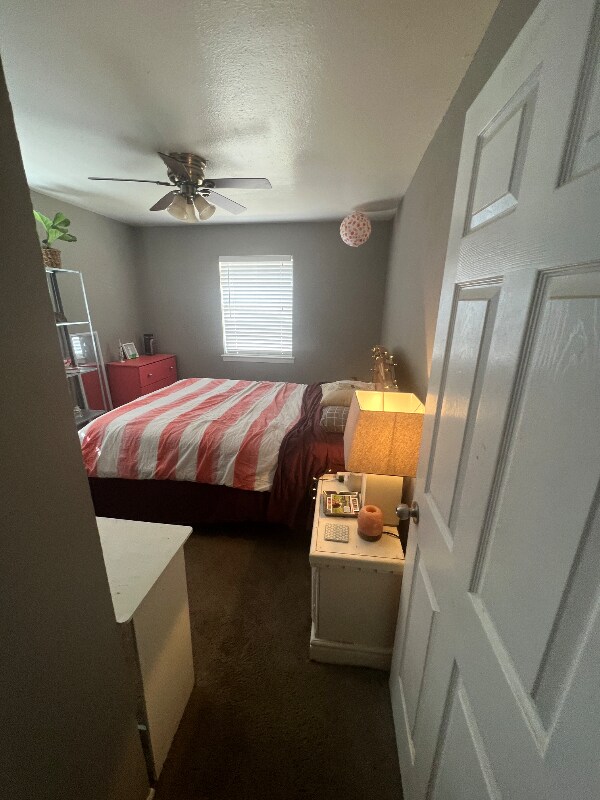 Foto del edificio - 3926 Mehalia Dr