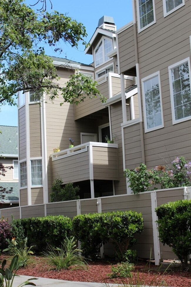 Foto del edificio - Belmont Hills Sanctuary: 3 En-Suite Suites Behind Oracle & Farallon Park
