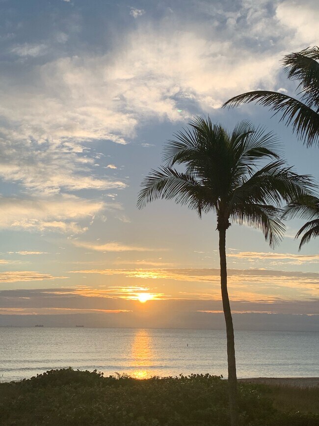 Foto del edificio - 6000 N Ocean Blvd