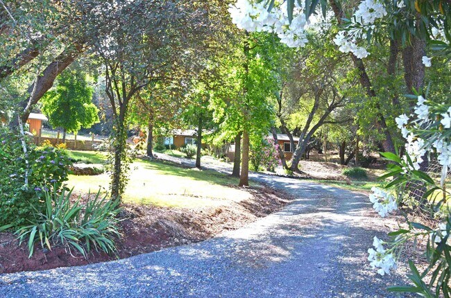 Foto del edificio - 3 bedroom, 3 bath home on 1.86 acres in Pe...