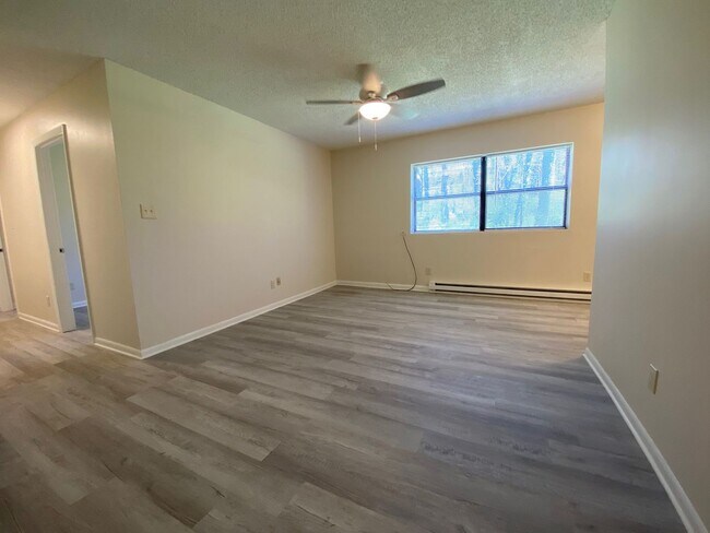 Foto del edificio - North AVL - Totally renovated 2 bedroom, 1...