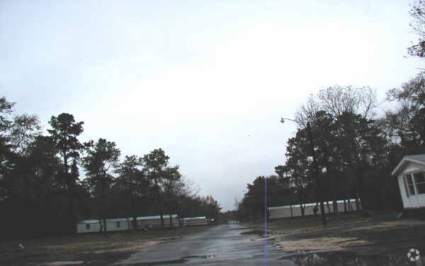 Primary Photo - Trinity Forest