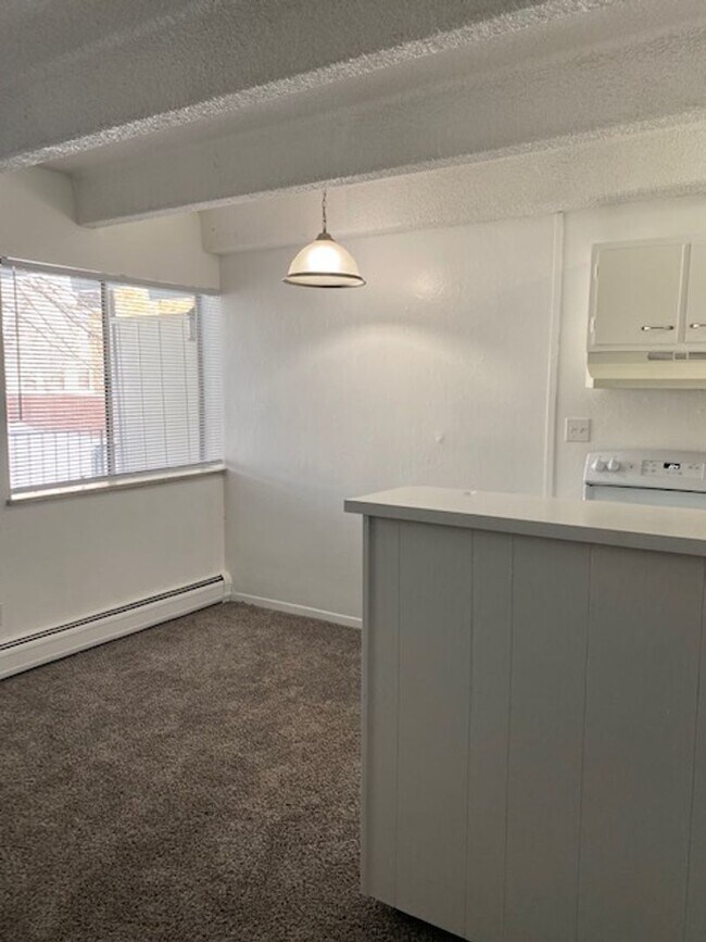 Foto del edificio - Newly remodeled 1-bedroom apartment near DU