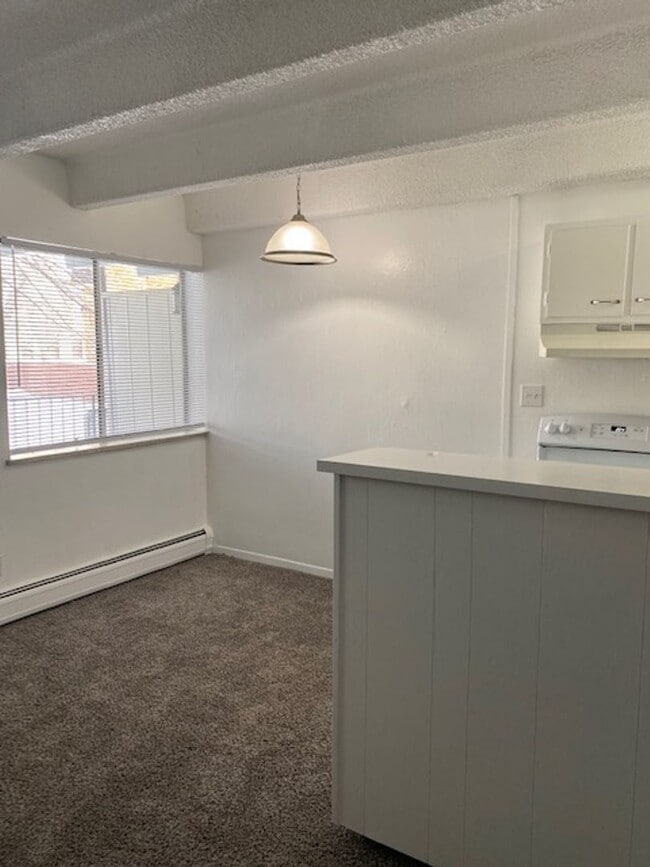 Building Photo - Newly remodeled 1-bedroom apartment near DU