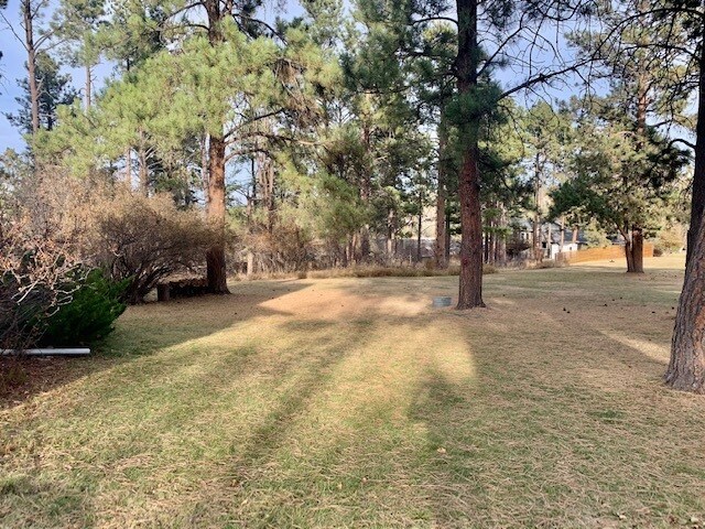 Foto del edificio - 213 N Berry Pine Rd