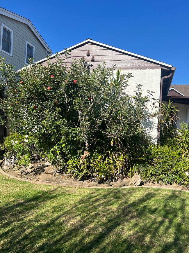 Foto del edificio - 1518 S Carmelina Ave