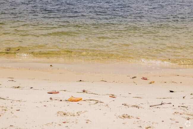 Relax and enjoy a day at the beach.