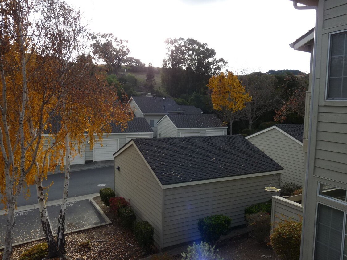 Pleasanton, Canyon Meadows, Available NOW! House Rental in Pleasanton