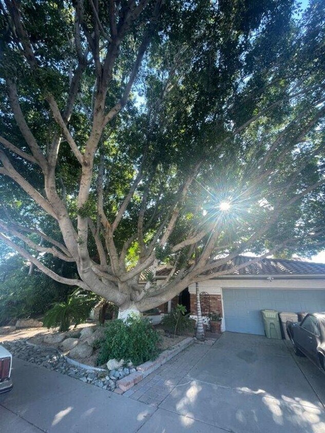 Foto principal - 6049 W Grandview Rd
