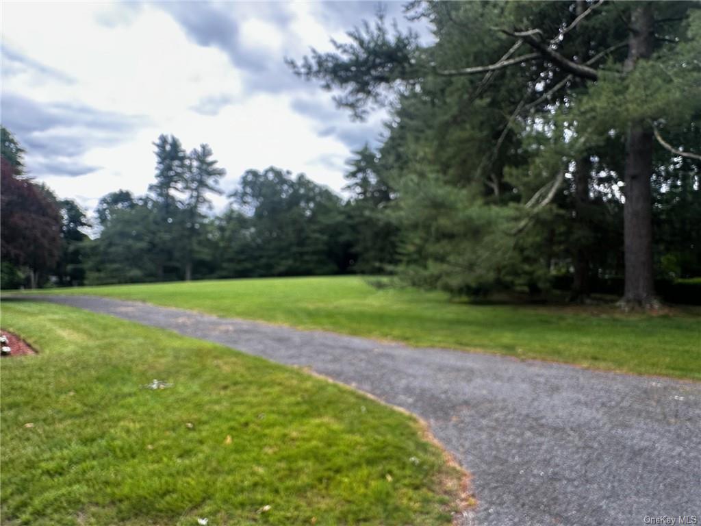 Primary Photo - 20 Orchard Hill Rd