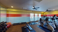 This fitness center offers a lively and energetic environment for a full-body workout experience. The space is immediately distinguished by its bold, tri-color striped wall design — featuring horizontal bands of yellow, coral-red, and light blue — which lends the room a dynamic, motivating atmosphere. A distinctive leopard-print carpet covers the floor throughout, adding a unique visual character to the space.

The cardio section is well-appointed with multiple TRUE-brand treadmills and elliptical machines, each equipped with digital displays for tracking workout metrics. A wall-mounted flat-screen television is positioned for viewing during cardio sessions. A ceiling fan with integrated lighting provides consistent air circulation throughout the space.

The strength and free weight area features a fully stocked dumbbell rack, stability balls, adjustable workout benches, step platforms, and a multi-function cable/weight machine, offering a comprehensive range of resistance training options. Protective rubber floor mats are placed beneath all equipment for safety and stability.

Natural light flows in through multiple windows fitted with white blinds, keeping the space bright and inviting. Recessed lighting supplements illumination throughout. A full-length mirror along one wall enhances the sense of openness and allows users to monitor their form during workouts. Posted fitness center rules ensure a safe and respectful environment for all users.