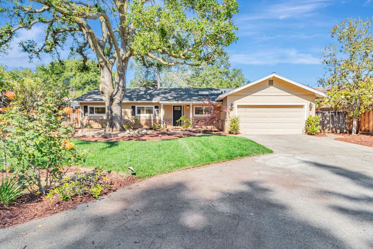 Primary Photo - Fabulous 3BR 2BA Single Family Los Altos Home