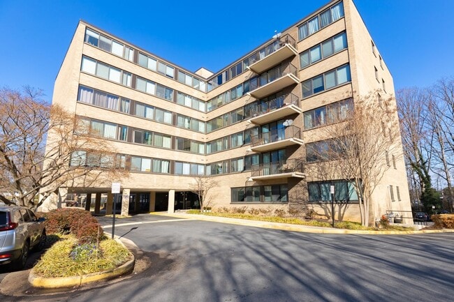 Charming garden-level 2-bedroom, 1-bath home - Charming garden-level 2-bedroom, 1-bath home