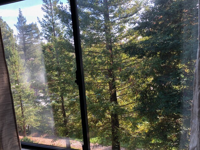 View From Bedroom #3 - 111 Albion Ct