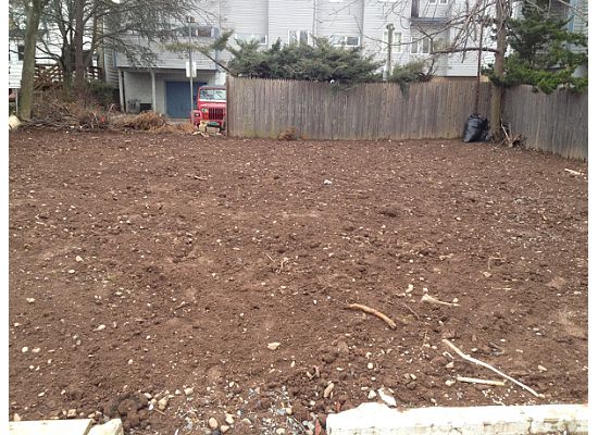 Back yard - 104 Guilden St