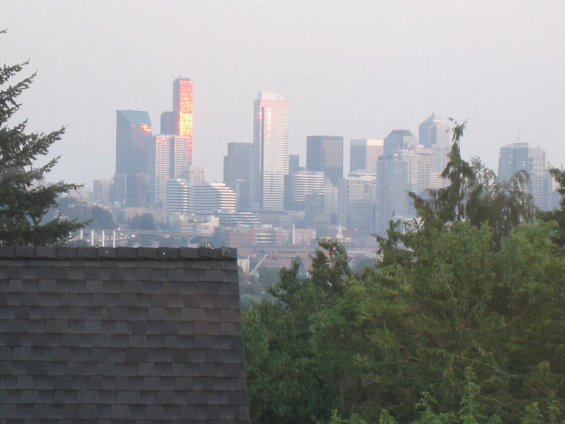 View of downtown from the kitchen - 4049 Latona Avenue NE