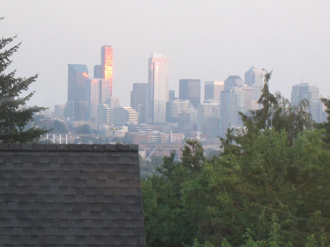 View of downtown from the kitchen - 4049 Latona Avenue NE