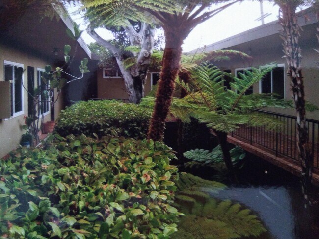 Garden courtyard - 1722 Brockton Ave