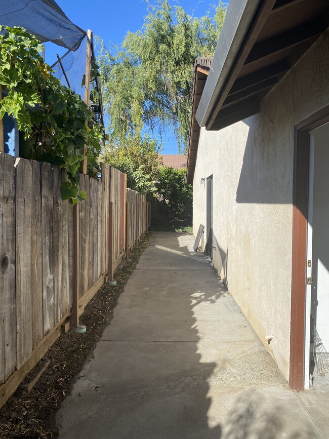 Side walkway & lemon tree - 2417 Greenacre Ln