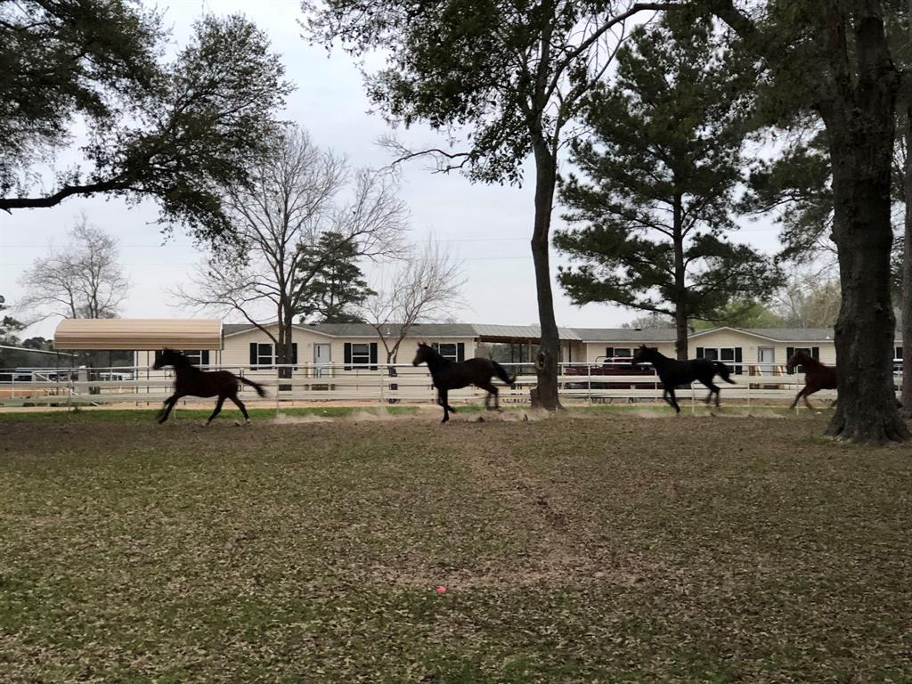 26411 DobbinHuffsmith Rd, Magnolia, TX 77354 House Rental in