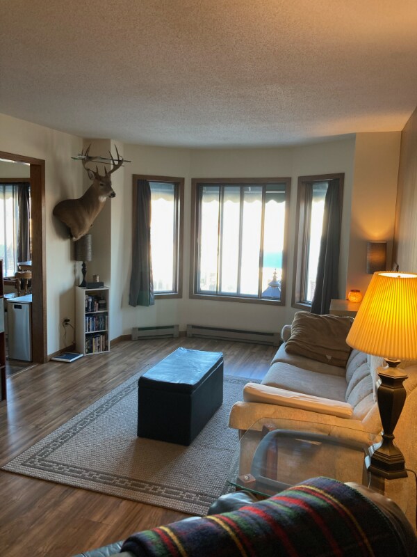 215 1/2 Main Ave S Unit 1, Park Rapids, MN 56470 Apartment for Rent