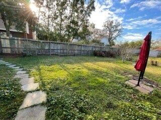 Backyard - 233 Douglas Dr