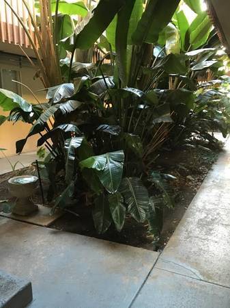 Espacio abierto interior del edificio - 490 4th Ave