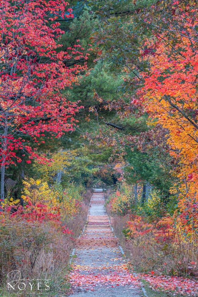 Cottonwood Trail system. Accessible across the street. - 83 Lehner St