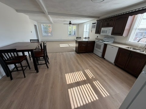 Open Kit/Dine/liv Rm - 919 Main St