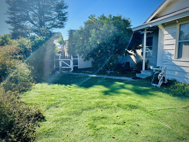 Front yard facing entry gate - 12433 Terra Bella St