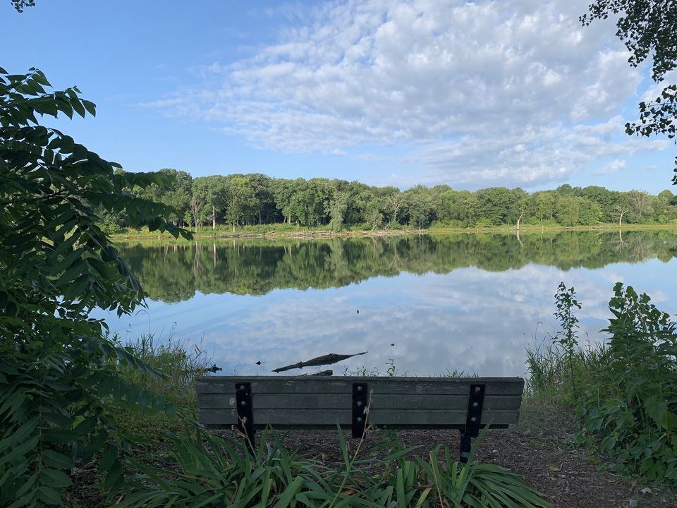 1303 Middleton St, Middleton, WI 53562 House Rental in Middleton, WI