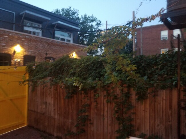 Patio trasero - 1023 Columbia Rd NW
