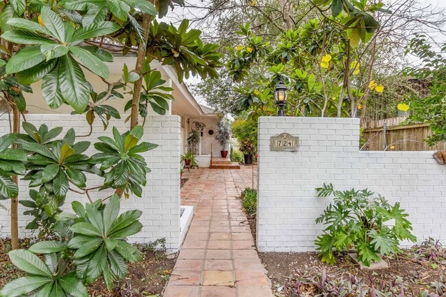 Building Photo - SECLUDED 3-BEDROOM IN TERRELL HILLS
