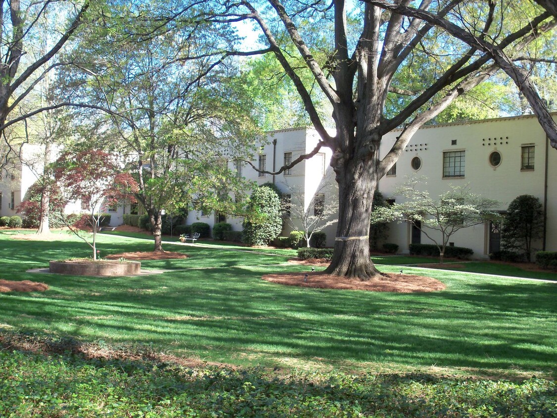 Primary Photo - Charming 1 Br Condo in Myrtle Square of Di...