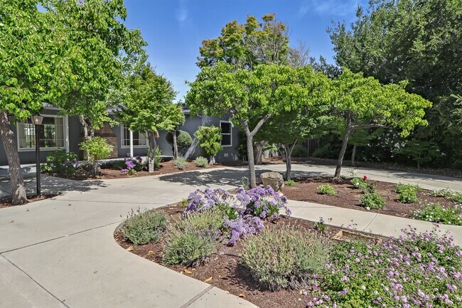 Foto del edificio - Los Altos 4-Bedroom with Fireplace, EV Hoo...