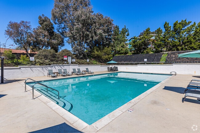 Piscina - Summer Creek Apartments