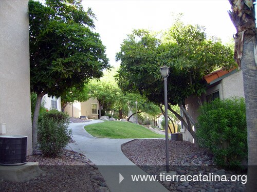 Foto del edificio - 6460 N Tierra de las Catalinas