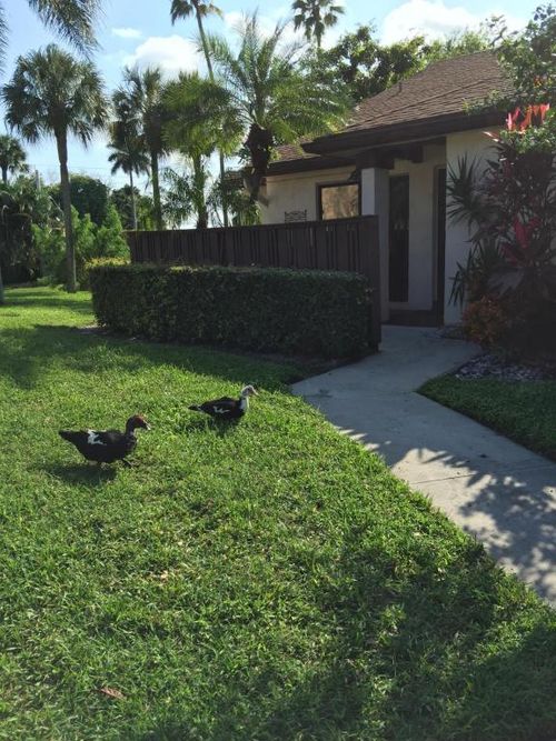 8310 Boca Glades Blvd E Unit 223, Boca Raton, FL 33434 Condo for Rent in Boca Raton, FL