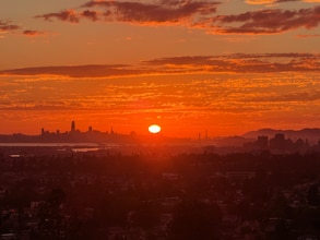 Building Photo - 4284 Maybelle Ave