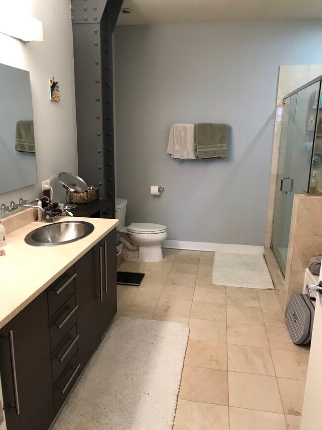 Master Bathroom - 1050 W Hubbard St