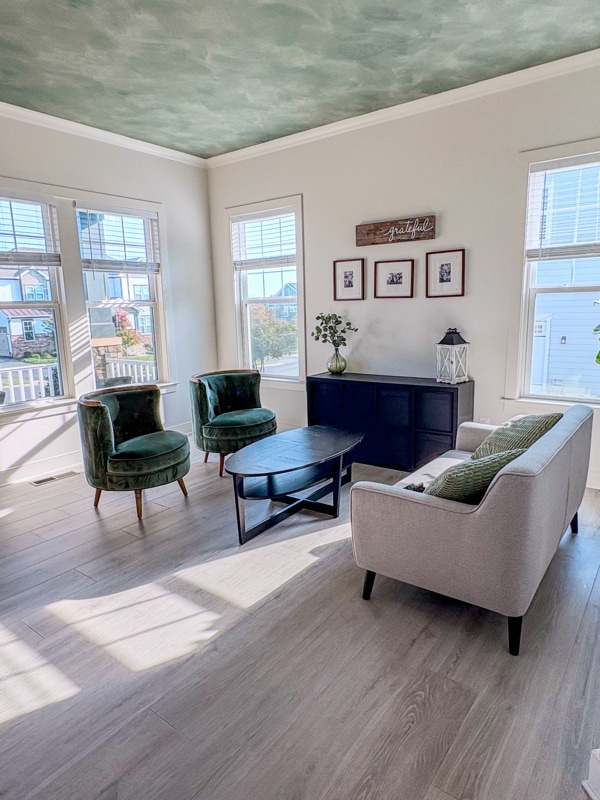 Building Photo - 24353 White Elm Pl