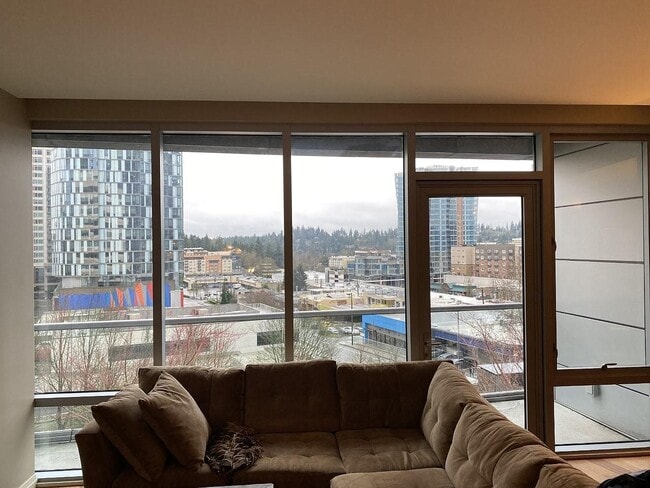 South/SW View - 10700 NE 4th St