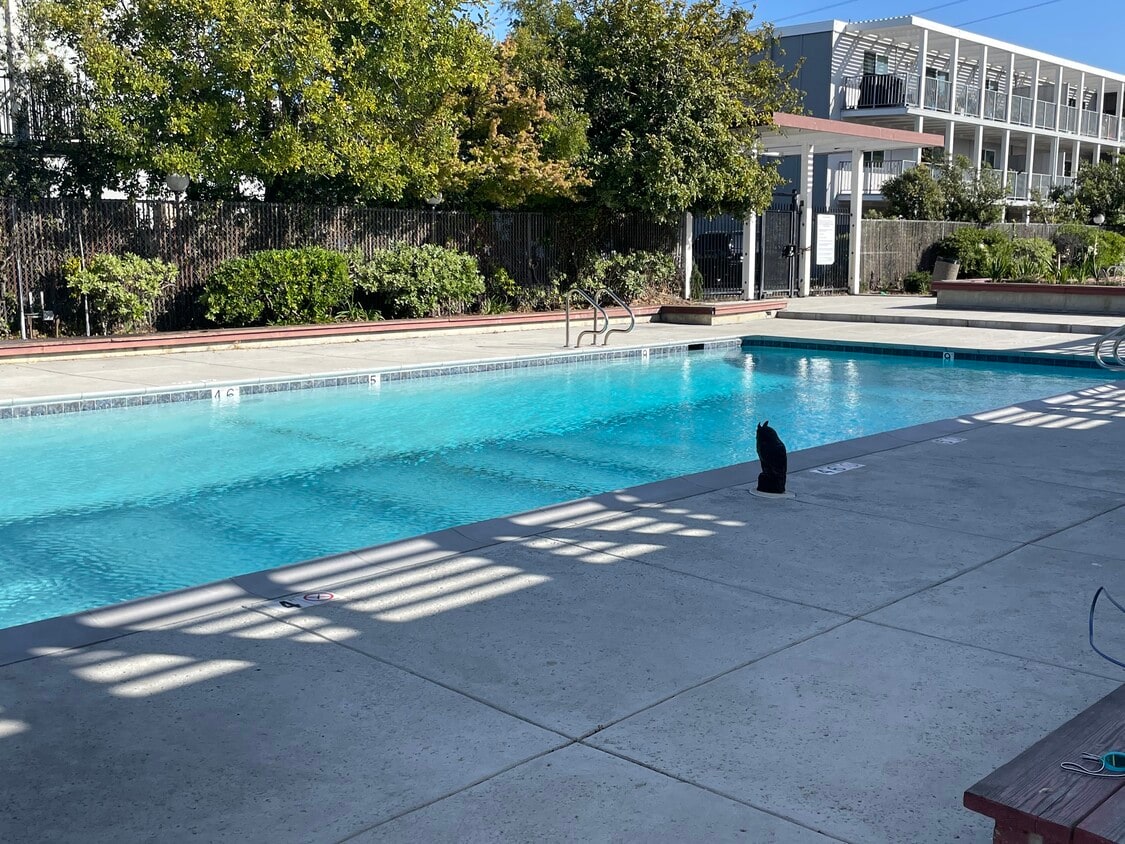 Photo - 6207 Admiralty Ln (Foster City, CA)