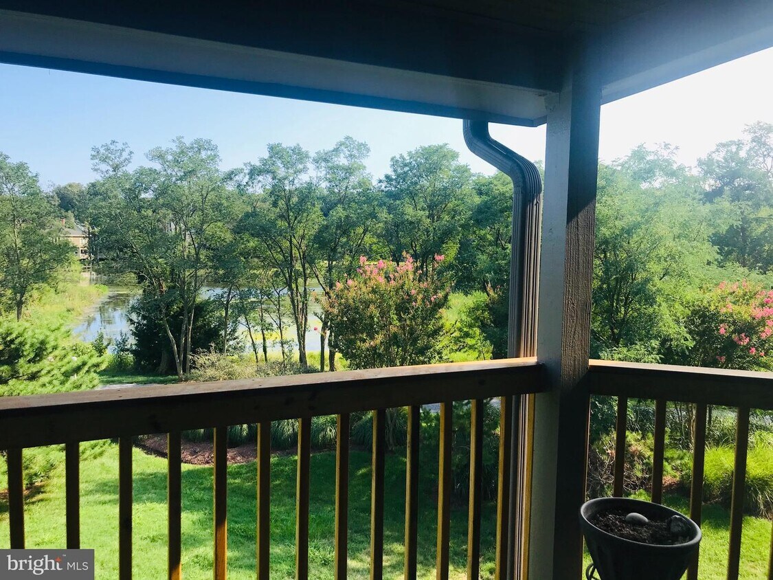Building Photo - 2123 Beach Village Ct